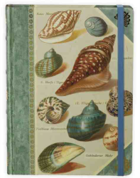 Книга для записей Shells