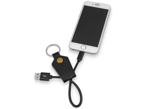 Изображение Кабель-брелок USB-Lightning Pelle